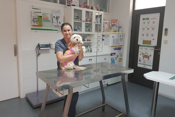 Atendimento personalizado