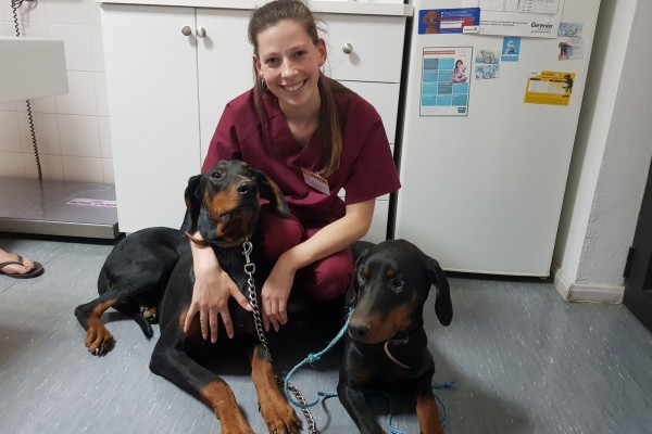 Estagiários e amigos