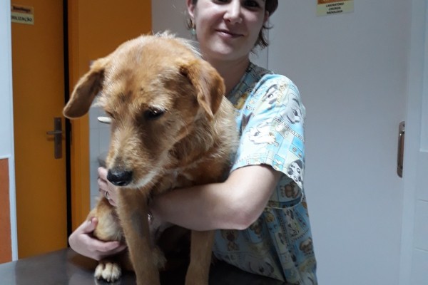 Carinho sempre presente