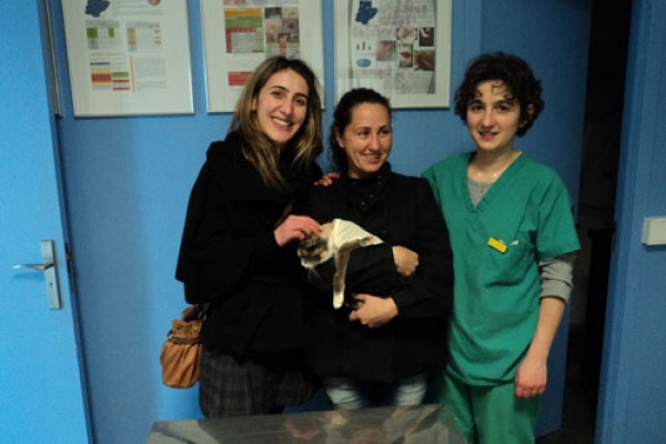 Adoção bem sucedida